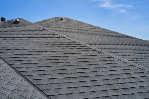 Best Solar Panel Roofing Installation  in Linganore, MD